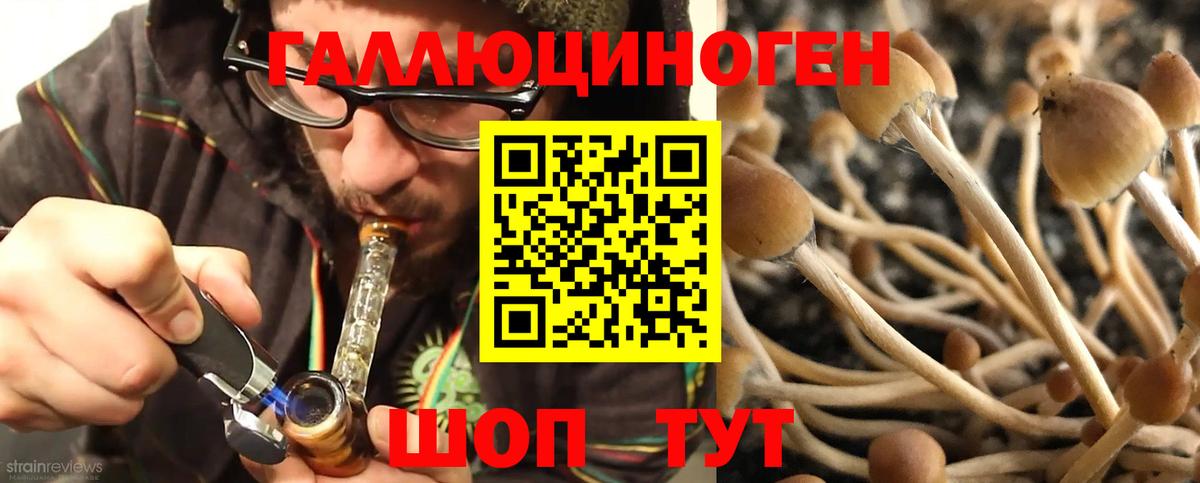 Псилоцибиновые грибы Cubensis Дзержинск